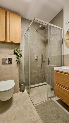 a bathroom with a shower and a toilet and a sink at Green Arches apartment in Łagów