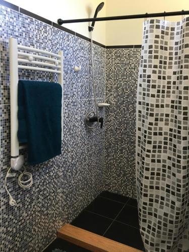 a bathroom with a shower with a blue towel at We-Che Tiny houses in Trevelín