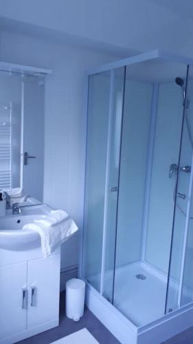 une salle de bain blanche avec une douche et un lavabo dans l'établissement T2 vue sur lac d'Annecy, à Lathuile