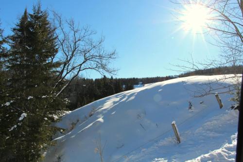 a snow covered hill with a christmas tree on it at Au Chic Chalet des Chutes Chic Chalet in Sainte-Melanie