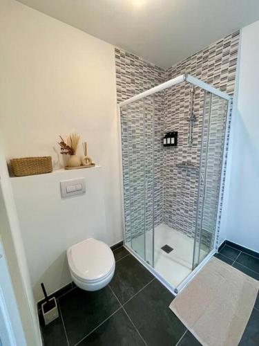 a bathroom with a toilet and a glass shower at Studio Cosy in Rosières-près-Troyes