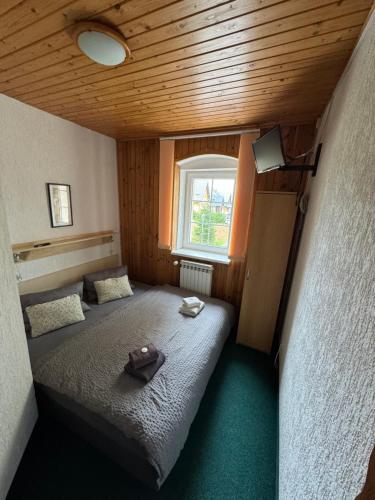 a small room with two beds and a window at Penzion Erika in Boží Dar