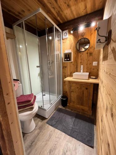 une salle de bain avec une douche, des toilettes et un lavabo dans l'établissement Chalet cabane pleine nature, à Le Bouchet-Mont Charvin