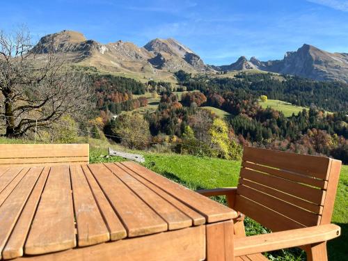 Chalet cabane pleine nature