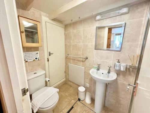 a small bathroom with a toilet and a sink at Ship Cottage Tenby Beach 50m in Pembrokeshire