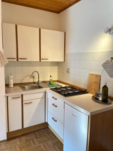 Kuchyň nebo kuchyňský kout v ubytování Voldersberghof