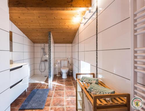 La salle de bains est pourvue de toilettes et d'un plafond en bois. dans l'établissement Gîtes Domaine des 4 Mas - LA HOWLITE - LE LARIMAR - L'AMAZONITE, à Sembas