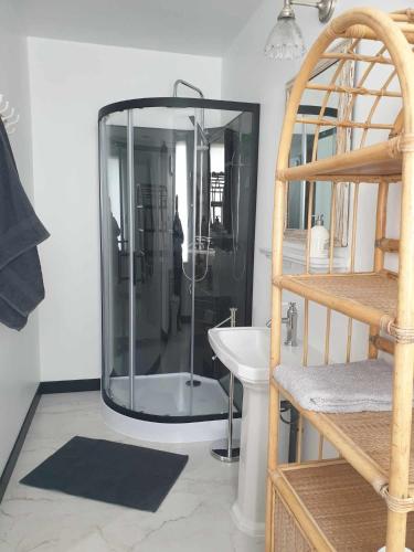 a bathroom with a shower and a sink at Le Moole Veld in Steenbecque
