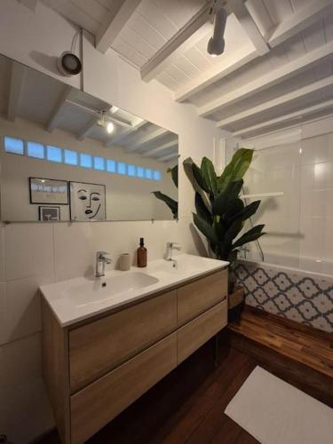 une salle de bain avec un lavabo et un grand miroir dans l'établissement Poreč, Appartement lumineux vue sur la Cathédrale, à Reims