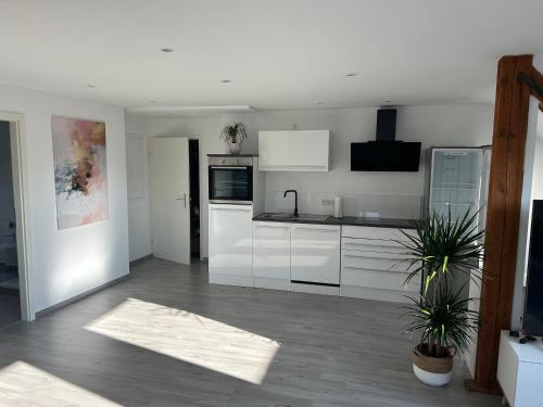 a white kitchen with white appliances and potted plants at Schöne, neu renovierte Wohnung in Spalt