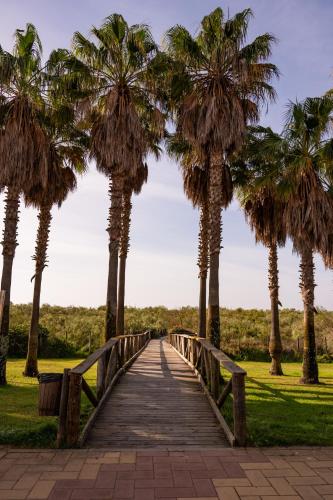 a wooden bridge with palm trees in a park at Vila Gale Isla Canela in Isla Canela