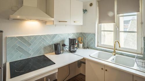 une cuisine avec un évier et un plan de travail dans l'établissement Duplex Poincaré - Proche Hôtel de Ville - 4 pers, à Troyes