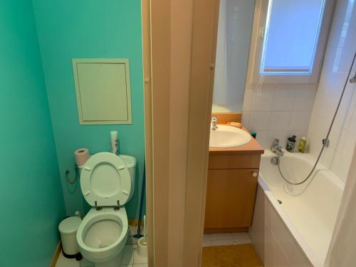 a bathroom with a toilet and a sink at Isola 2000 appartement dans Chalet 4 ou 6 personnes grande terrasse in Isola 2000