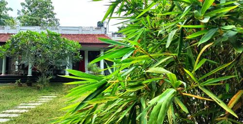 a view of a house from the garden at Angels' homestay Marari in Mararikulam