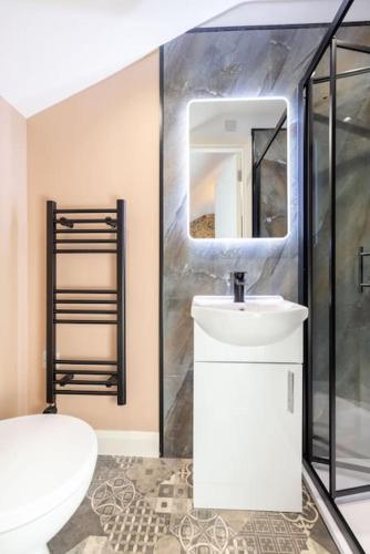 a bathroom with a toilet and a sink and a mirror at Boutique Homes At 4 in Bangor