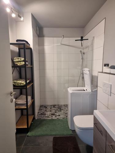 a bathroom with a white toilet and a green rug at Gemütliche Ferienwohnung mit 1 Schlafzimmer, Wohnzimmer mit Schlafcouch & voll ausgestattete Küche in Rauschenberg