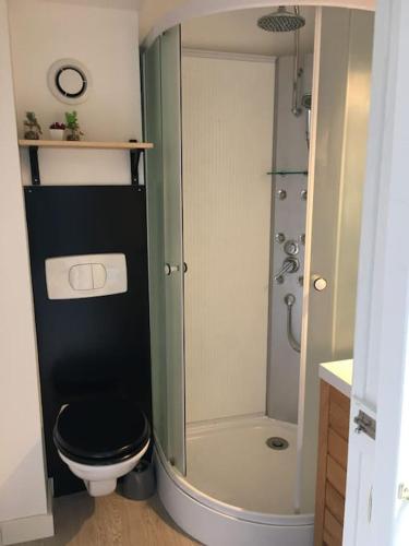 une petite salle de bain avec toilettes et douche dans l'établissement Appartement Doëlan, le port et la mer à pieds, à Clohars-Carnoët