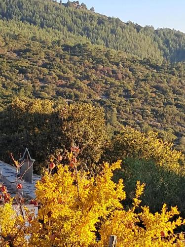 Φυσικό τοπίο κοντά σε αυτό το διαμέρισμα