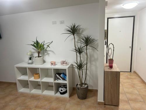a room with potted plants and a white shelf at Aba Gianola in Formia