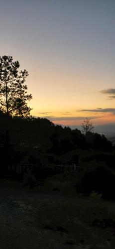 a sunset over a hill with a tree on it at Casa De Campo Mirador H&L in San Antonio de las Alzanas