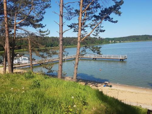 a dock on a lake with trees and a beach at Lawendowy Zakątek Na Gwizdówce in Załakowo