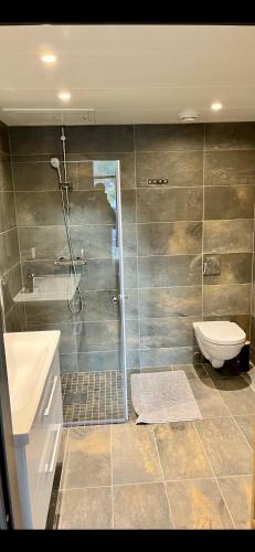a bathroom with a shower and a toilet and a sink at Topp studio leilighet Alpine Lodge in Trysil