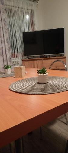 stół z telewizorem i dwie rośliny na nim w obiekcie Domki Letniskowe oraz Chata Grillowa " Nad Zalewem "Bliżyn w mieście Bliżyn