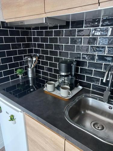 - un comptoir de cuisine avec évier et cafetière dans l'établissement Appartement Bambou, à Sète
