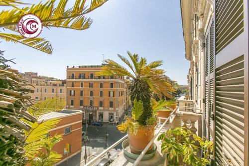 C M Civitas Leonina Luxury
