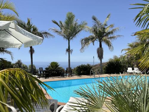 ティハラフェにあるVilla feliz Los Abuelos Aのヤシの木と海のスイミングプール