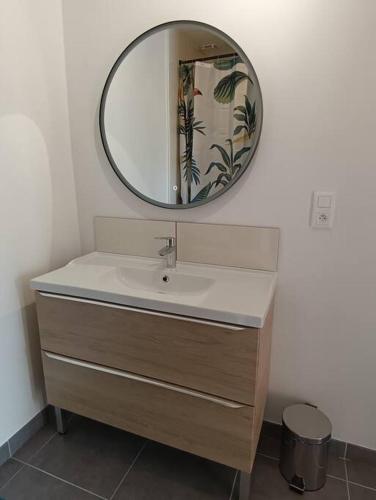 une salle de bain avec un lavabo et un miroir au mur dans l'établissement Gîte Les Pages, à Yvetot Bocage