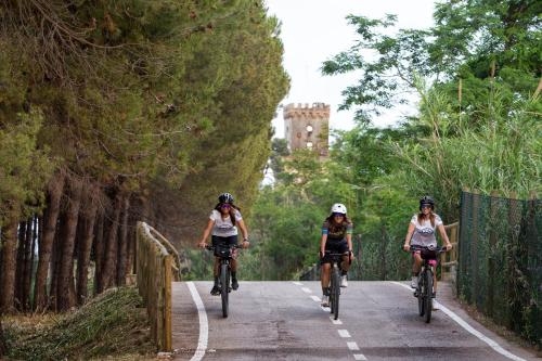 a group of people riding bikes down a road at Casa per vacanze in riva al mare in Pineto