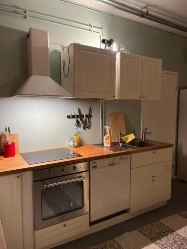 Η κουζίνα ή μικρή κουζίνα στο Private Studio Apartment
