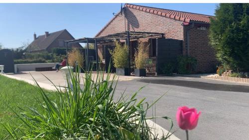 une fleur rose devant une maison en briques dans l'établissement Gîte 1 chambre adapté PMR, à Saint-Amand-les-Eaux