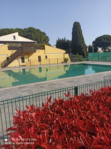 une clôture avec des plantes rouges en face d'une piscine dans l'établissement Appartement climatisé avec terrasse parking piscine et terrains de tennis, au Cap d'Agde