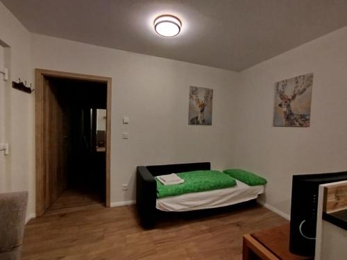a room with a bed with a green pillow at Ferienwohnung LandZeit 1 in Schömberg