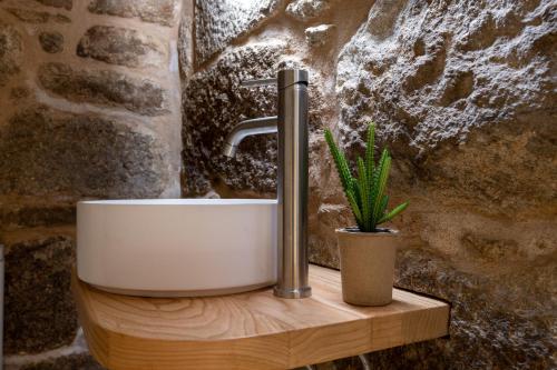 a bathroom sink with a faucet and a plant at Hostal HCELENIS in Caldas de Reis