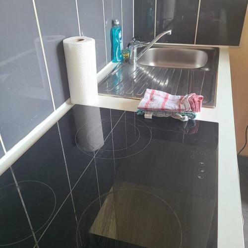 Photo de la galerie de l'établissement Appartement Brest Rive droite, à Brest