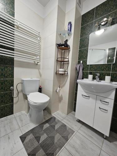 a bathroom with a toilet and a sink at Apartament w Suwałkach in Suwałki