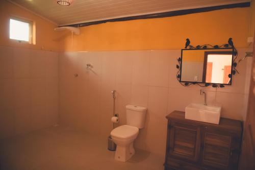 a bathroom with a toilet and a mirror on the wall at Pousada Chalés do Rancho Canastra in Vargem Bonita