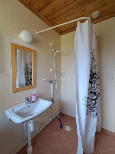 a bathroom with a shower curtain and a sink at Furudals Bruk in Furudals Bruk