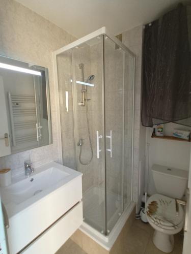 une salle de bain avec une douche, un lavabo et des toilettes dans l'établissement Appartement proche port village et plage, à Gruissan