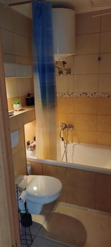 a bathroom with a toilet and a bath tub at Na Podwalu in Jaworzno