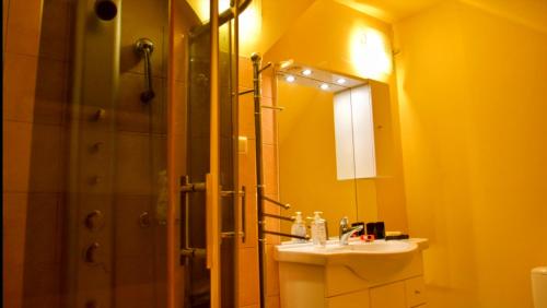 a bathroom with a sink and a shower with a mirror at Salt Mine Apartment Bochnia by OTH in Bochnia