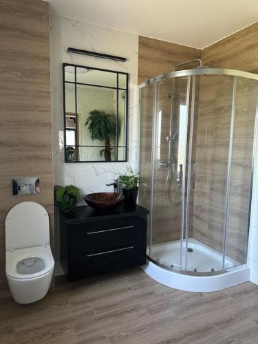 a bathroom with a shower and a toilet and a sink at Całoroczny Domek pod Brzozami in Polańczyk