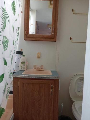 Un baño de Burnaby East home