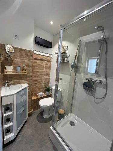 une salle de bain avec une douche, des toilettes et un lavabo dans l'établissement L'abysse - Appartement indépendant, à Ambleteuse