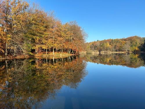 a view of a lake with trees in the background at 300m2 entire house with 3 bedrooms in Tistrup