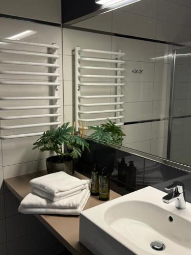 Bilik mandi di Apartament Buena Vista Czarna Góra Sienna