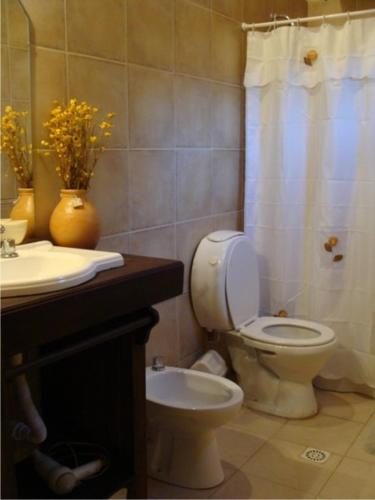 a bathroom with a toilet and a sink at Finca Puesta del sol in San Agustín de Valle Fértil